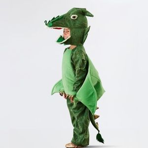 Pottery barn kids dragon costume size 4-6